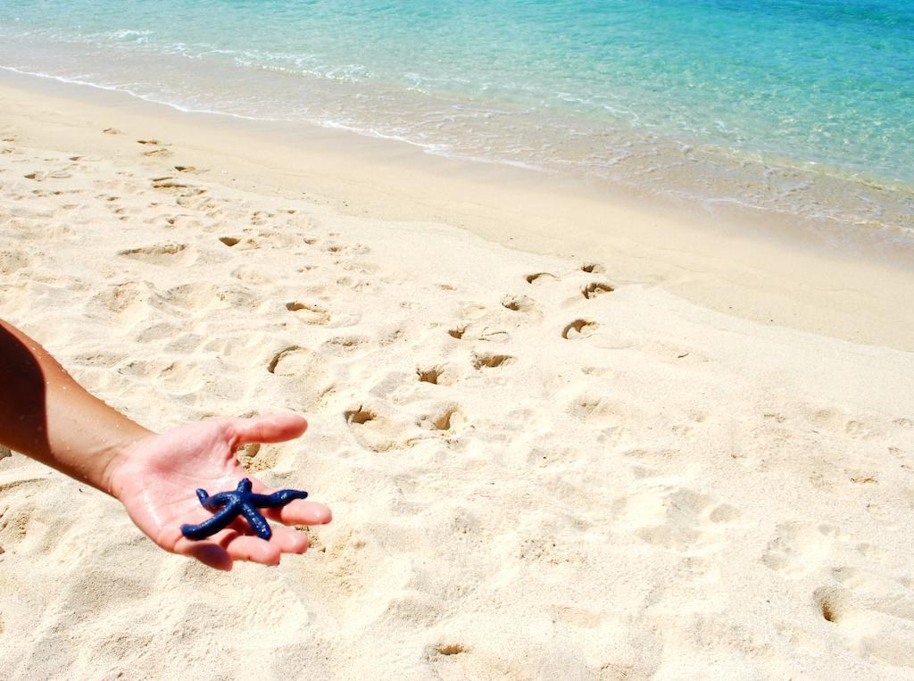 Taufua Beach Fales Lalomanu ภายนอก รูปภาพ